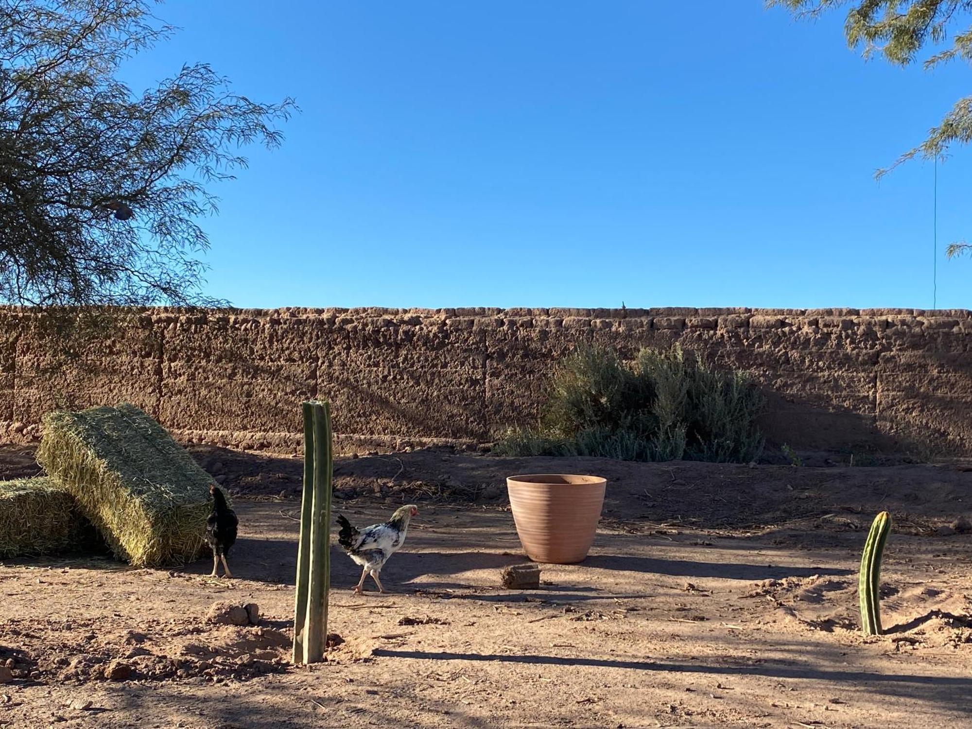 Cabanas Voyage Atacama San Pedro de Atacama Dış mekan fotoğraf