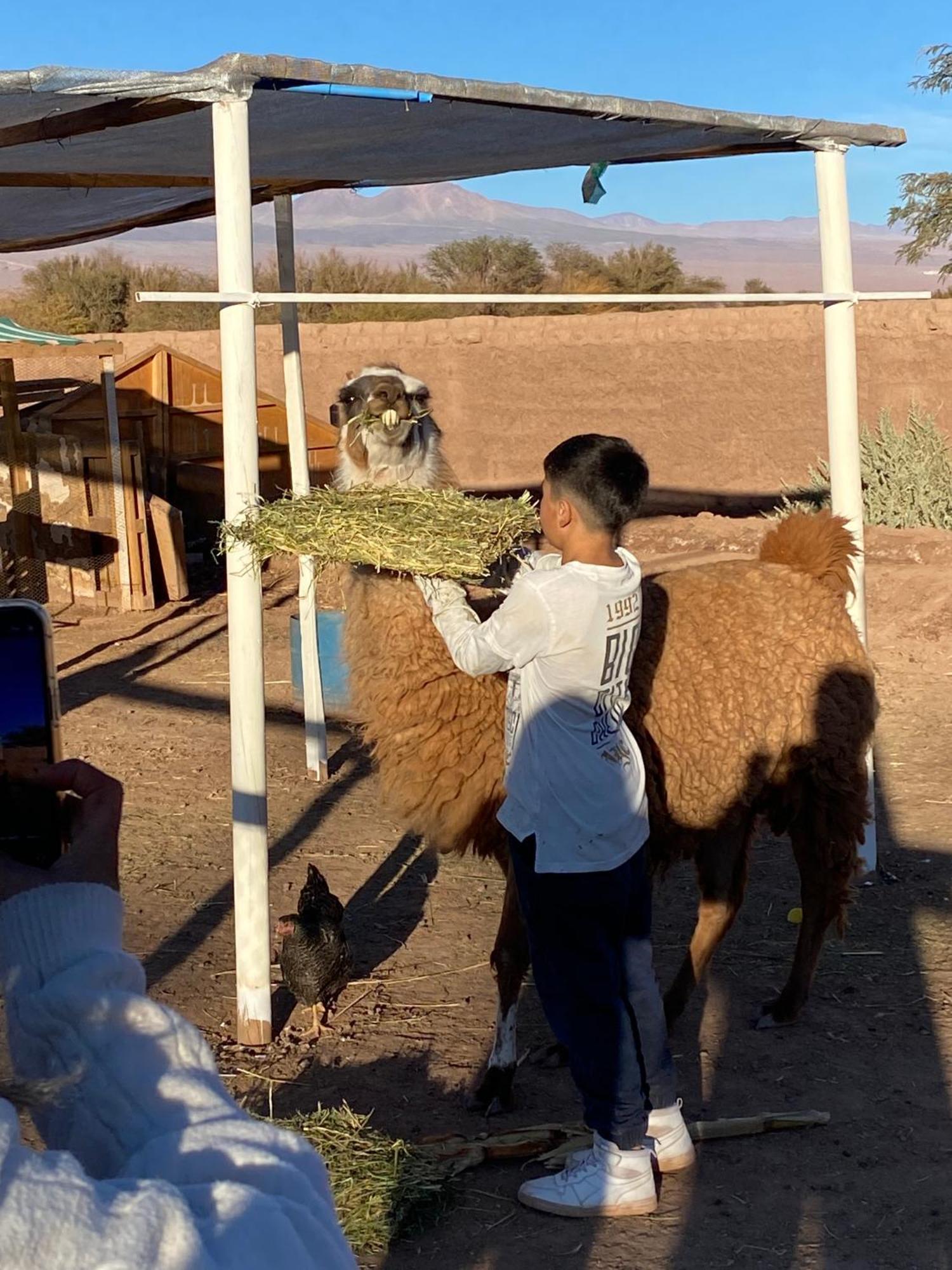 Cabanas Voyage Atacama San Pedro de Atacama Dış mekan fotoğraf
